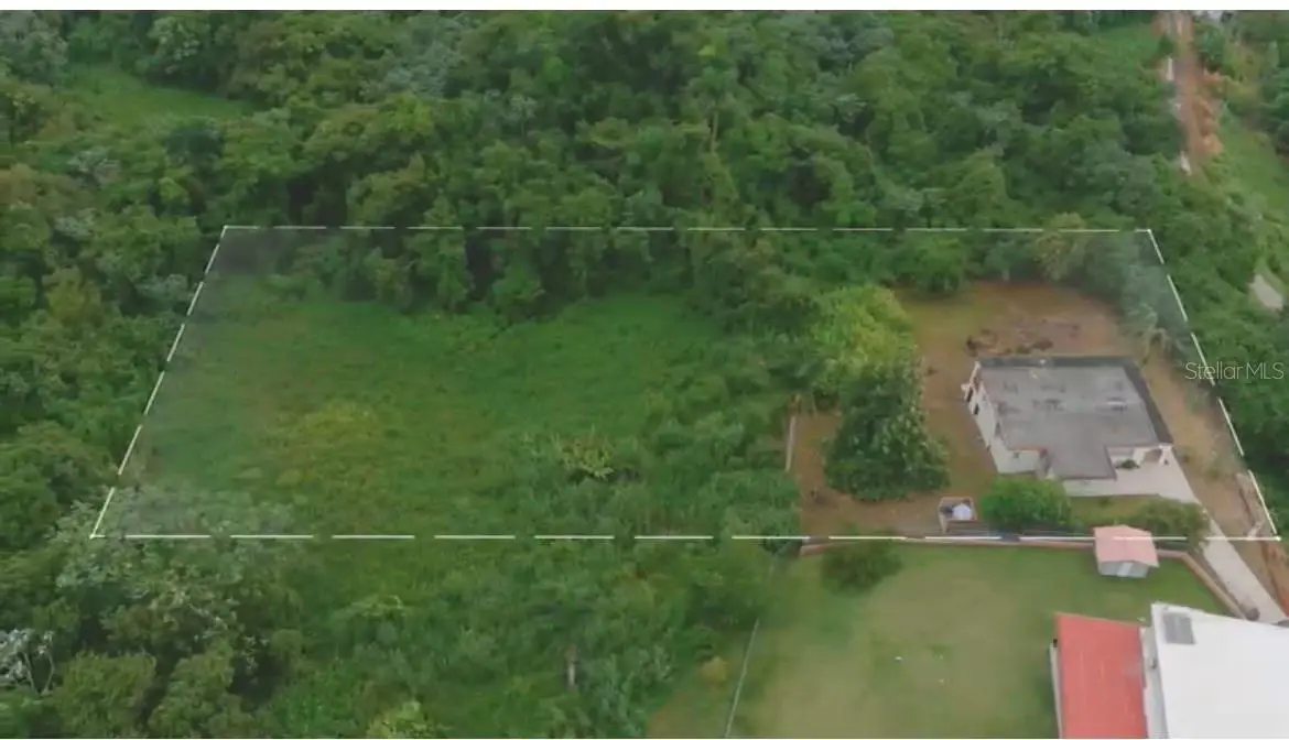 992 NE Pablo Nieves (cocolo) Street #1, Luquillo, PR 00773 - Image #1