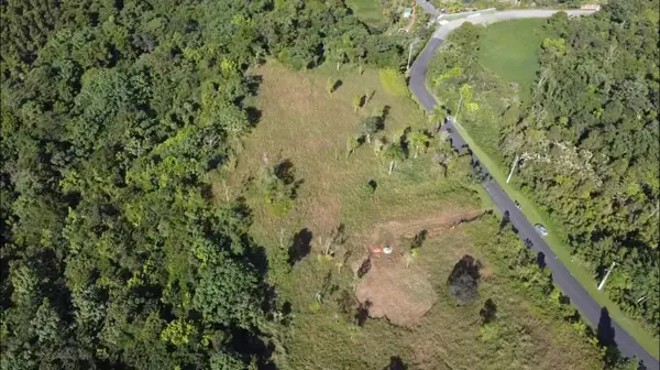 1 Calle 1, CAGUAS, PR 00725