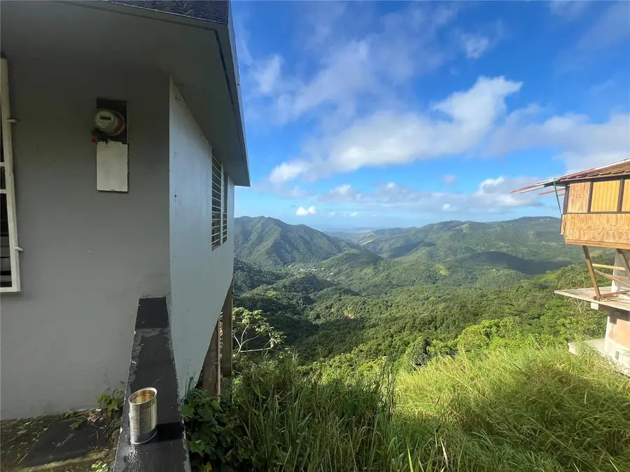 Rd 15 Km 17.7 Jajome Alto Ward, Cayey, PR 00736 - Image #2