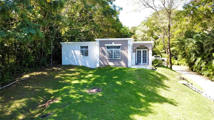 BO. GUZMAN ABAJO Carr. 956 Km 4.2, Rio Grande, PR 00745 - Image #2