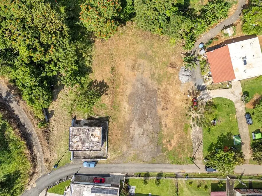 BO PEA POBRE Solar #1 Carr 31, Naguabo, PR 00718 - Image #2