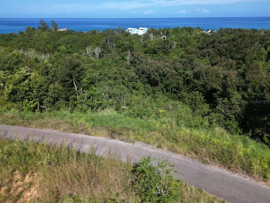 SOLAR 12 Bo Guaniquilla, Aguada, PR 00602 - Image #3