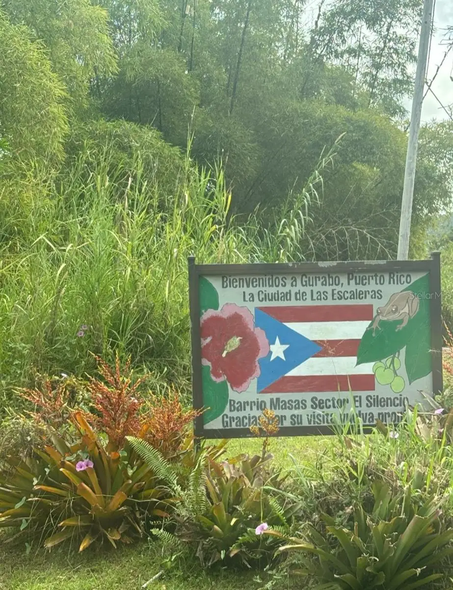 PR 945 Barrio Masas Ward, Gurabo, PR 00778 - Image #1