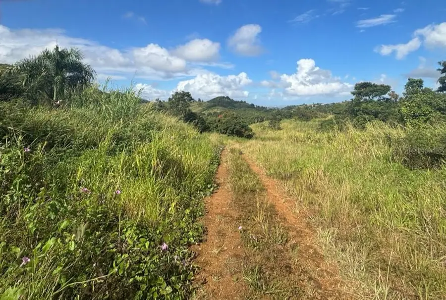 PR 945 Barrio Masas Ward, Gurabo, PR 00778 - Image #3