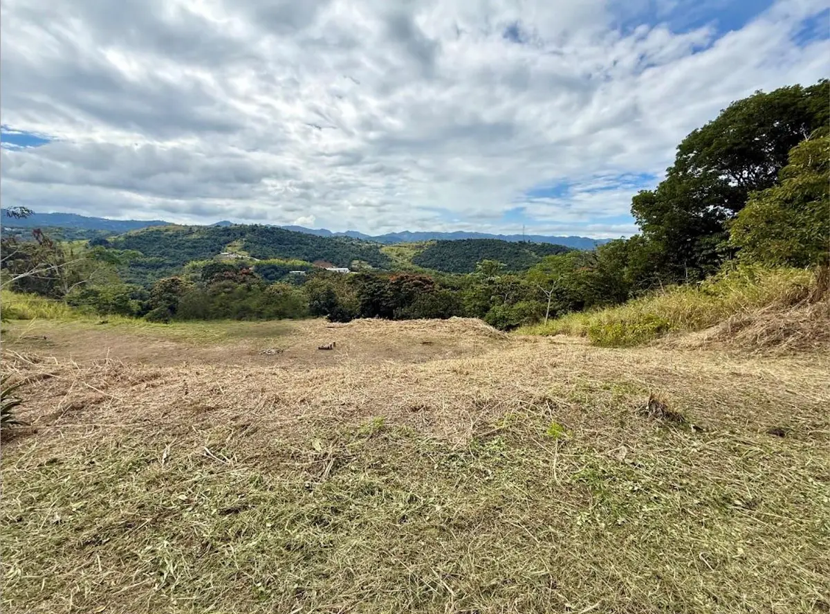 Sector Campo Bello, Cidra, PR 00739 - #1