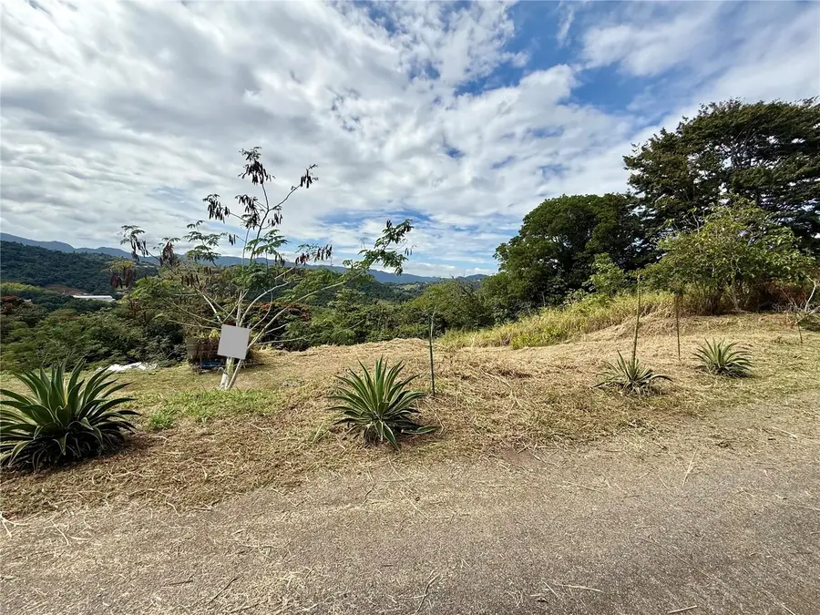 Sector Campo Bello, Cidra, PR 00739 - #2
