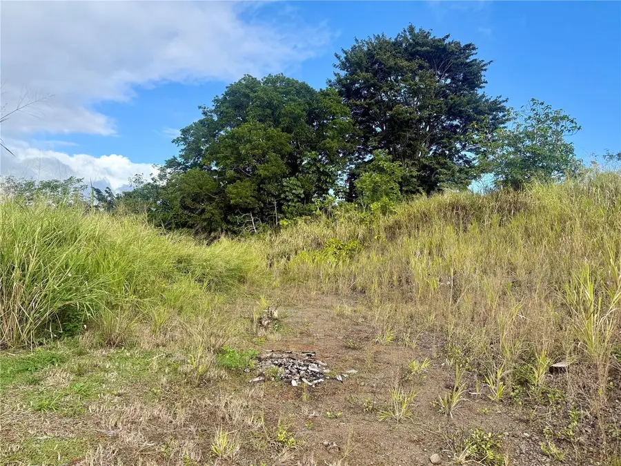 Sector Campo Bello, Cidra, PR 00739 - #3