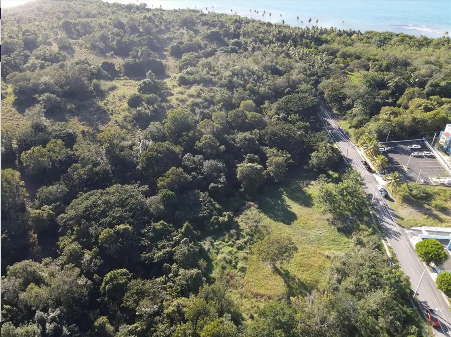 CARR. 307, KM. 3.5 La Mela, Bo. Pedernales, Cabo Rojo, PR 00623 - Image #2