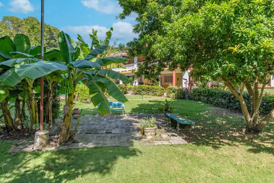 Bo Barrero, Rincon, PR 00677 - Image #3