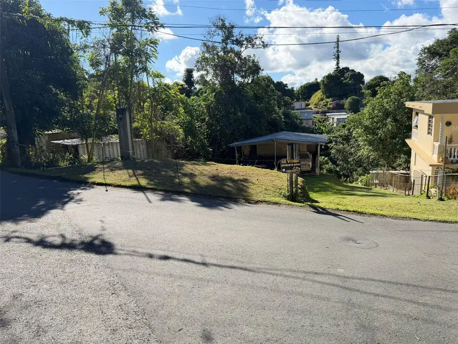 Cafarnaum Solar 118, Aibonito, PR 00705 - Image #2