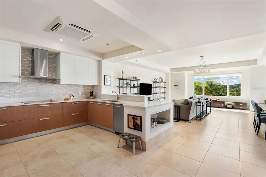 500 Plantation Drive #3206, Dorado, PR 00646 - Image #2