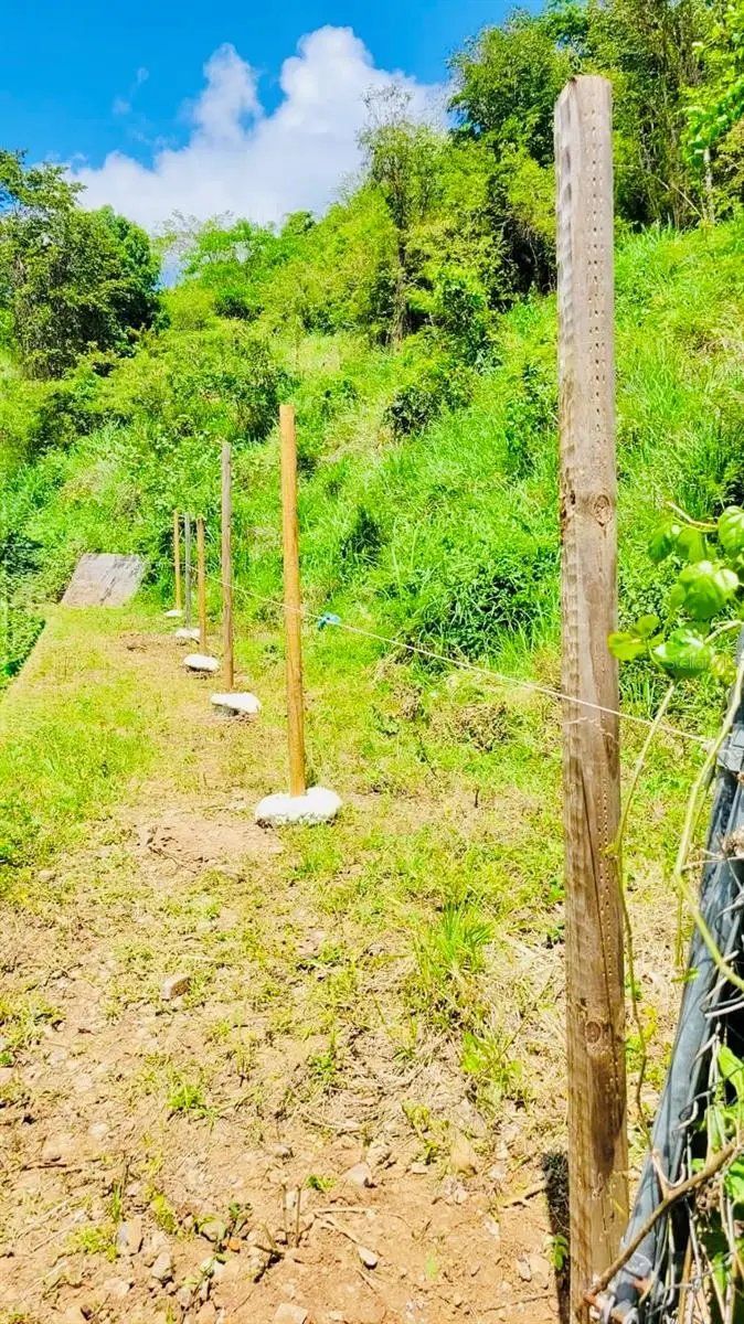 14 Route #KM 41.0, Coamo, PR 00769 - Image #2