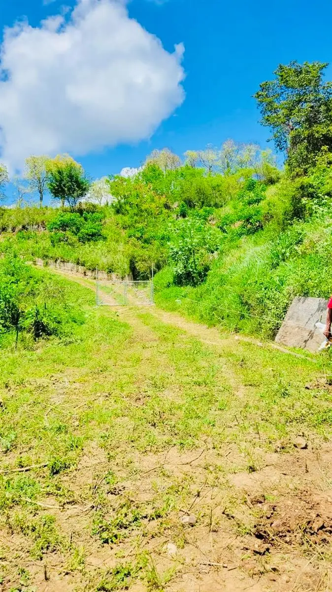 14 Route #KM 41.0, Coamo, PR 00769 - Image #3