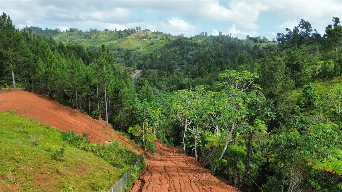 Bo. Man Carr. 802 Km 2.5, Corozal, PR 00783 - Image #1