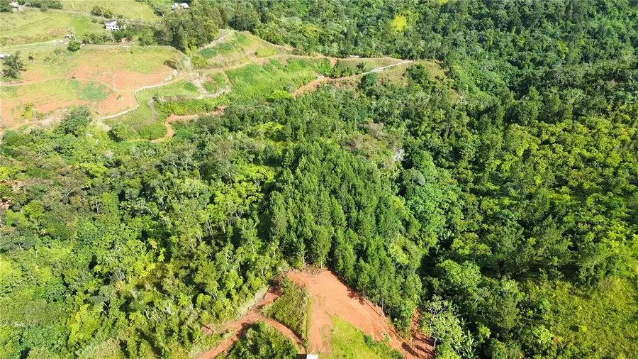 Bo. Man Carr. 802 Km 2.5, Corozal, PR 00783 - Image #2