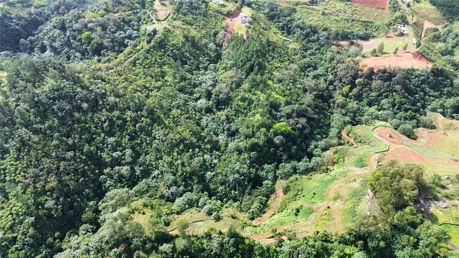 Bo. Man Carr. 802 Km 2.5, Corozal, PR 00783 - Image #3