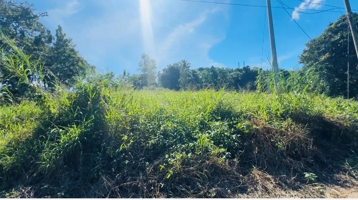 Bo Naranjo Carretera #2, Km 138.2 Int, Aguada, PR 00602 - Image #1