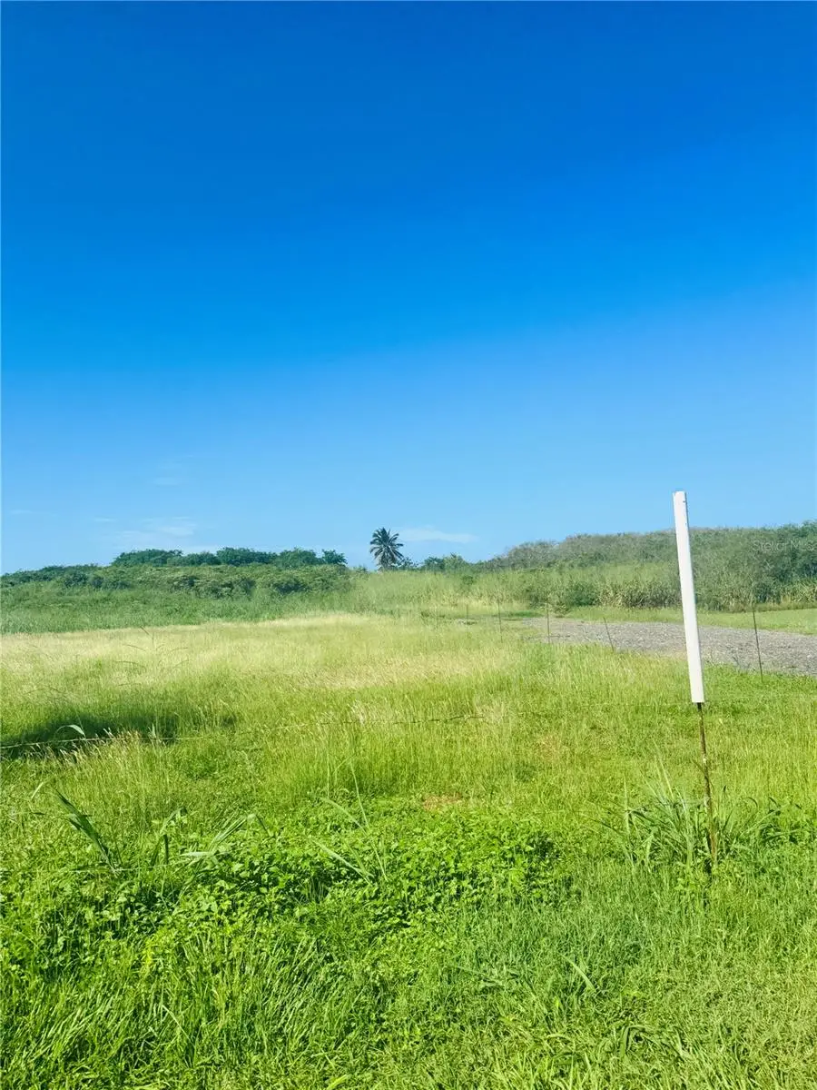 Bo Aguacate Km 31.6 (int), Pr 110, Camino A, Aguadilla, PR 00603 - Image #2