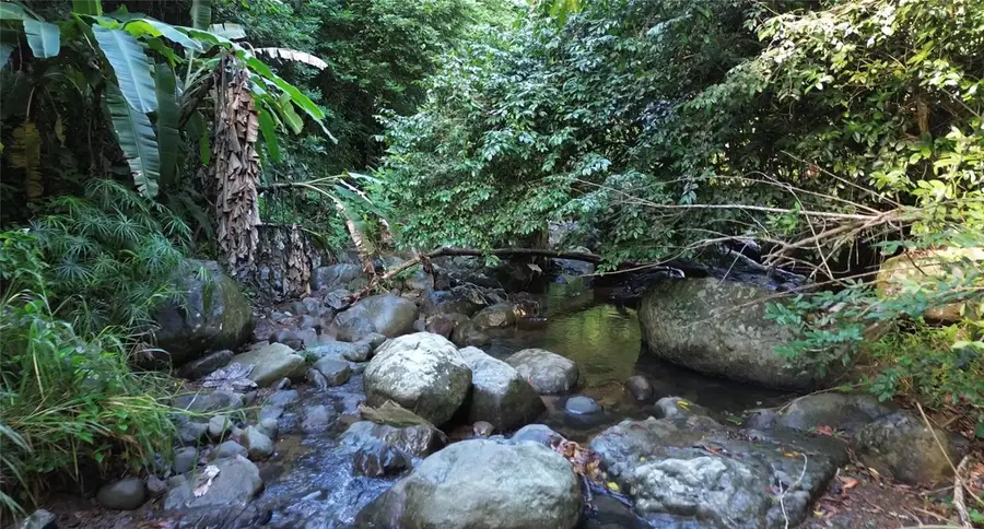 Cam. La Vega, Orocovis, PR 00720 - Image #2