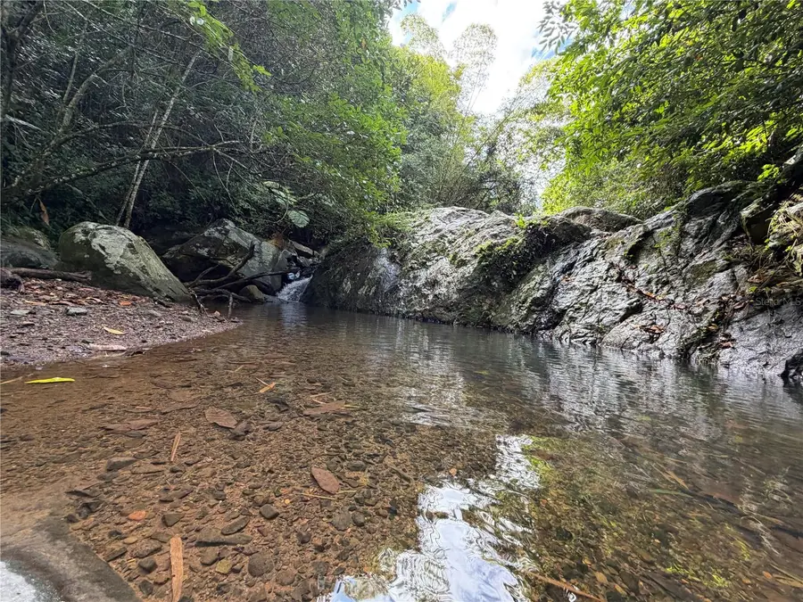Cam. La Vega, Orocovis, PR 00720 - Image #3