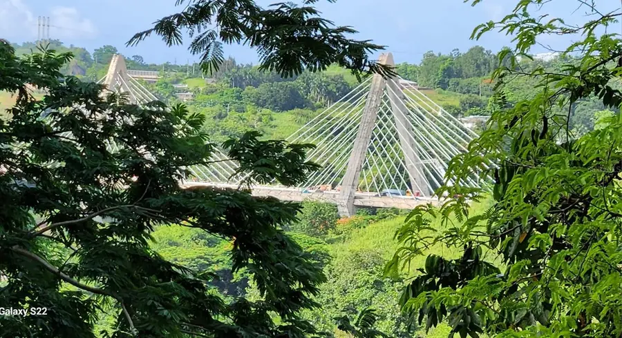 Carretera 826 Km 1.2 Interior, Sector Hatito, Naranjito, PR 00719 - Image #2