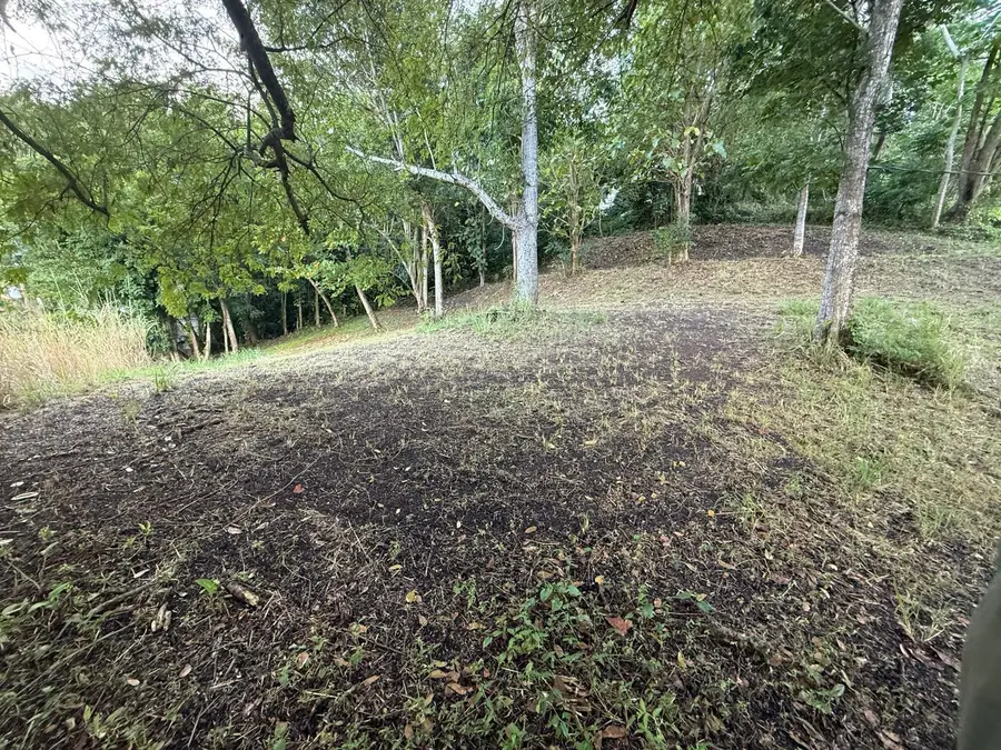 Carretera 826 Km 1.2 Interior, Sector Hatito, Naranjito, PR 00719 - Image #3