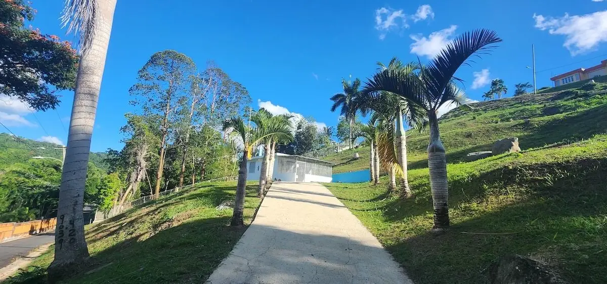 Lot A & B Las Papayas Rd Cedros Wd, Carr.185 Km 12.2 Int, Carolina, PR 00987 - Image #1