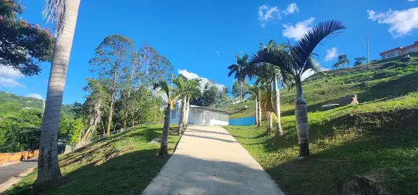 Lot A & B Las Papayas Rd Cedros Wd, Carr.185 Km 12.2 Int, CAROLINA, PR 00987