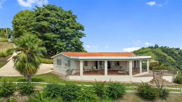 4428 Km 3.1 Int, LARES, PR 00669