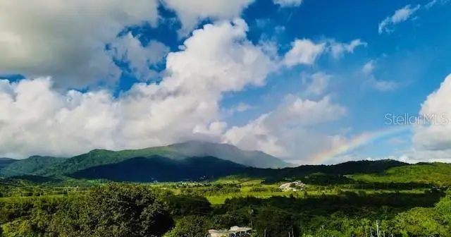 Carr#927 Sector Brazo Sec Kh7.6, Naguabo, PR 00718 - Image #2