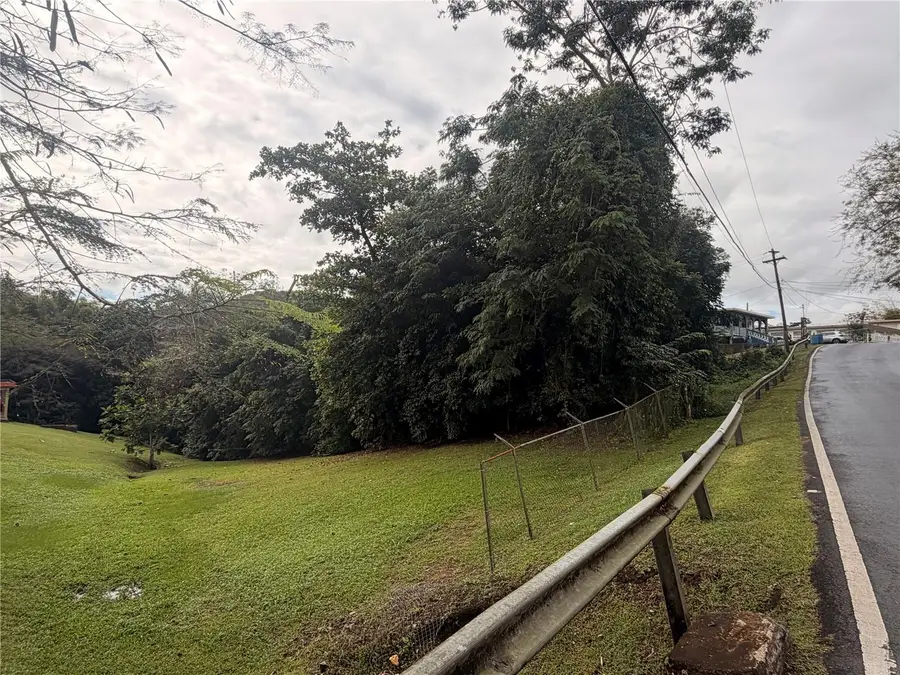 4 Barrio Rincon, Cidra, PR 00739 - Image #3