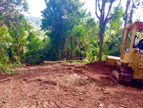 Solar 27 Barrio Cordillera, CIALES, PR 00638