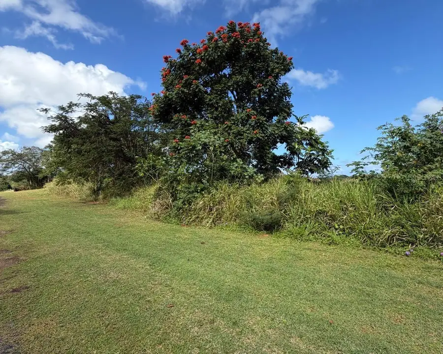 Sector Manantiales, Bo. Sabana Hoyos, Arecibo, PR 00612 - #3