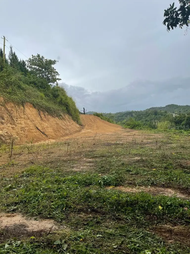 Lote #7 Bo Montellano, Cidra, PR 00739 - #3