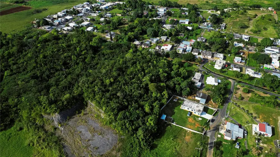 Calle Brillante Arsenales Bajos, Isabela, PR 00662 - Image #3