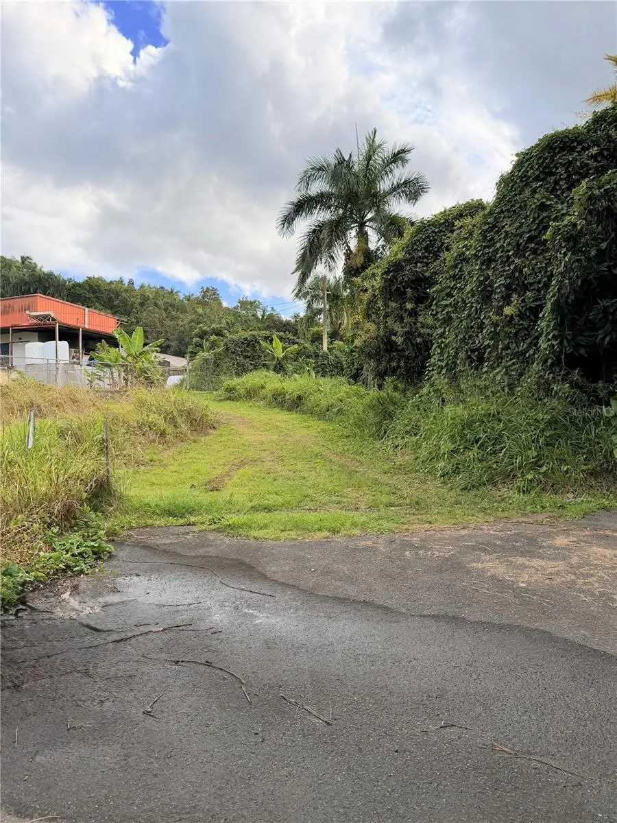 Cta. Abajo Bo. Barrazas, Carolina, PR 00987 - #1