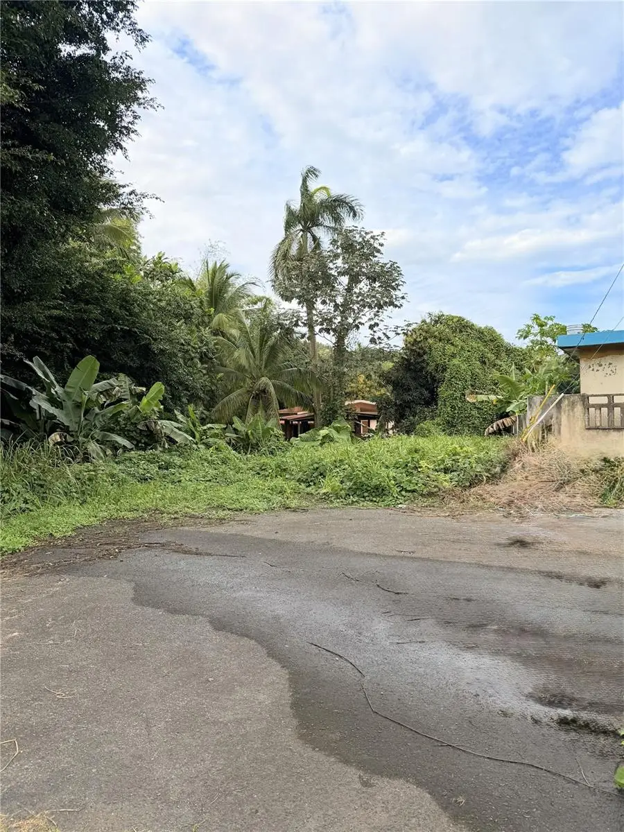 Cta. Abajo Bo. Barrazas, Carolina, PR 00987 - #2
