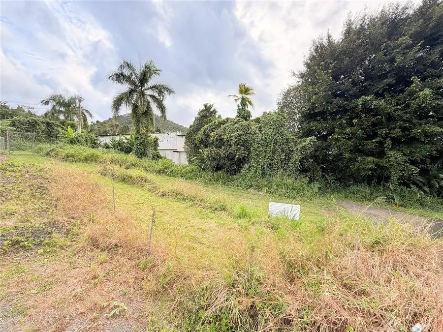 Cta. Abajo Bo. Barrazas, Carolina, PR 00987 - #3