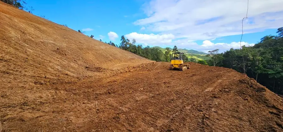 720 Palo Hincado, Barranquitas, PR 00794 - Image #3