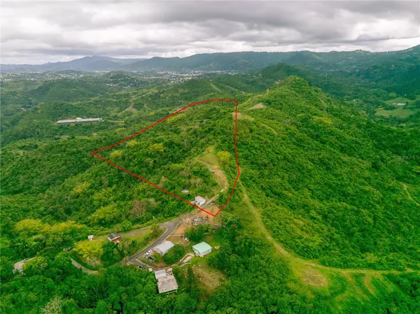 INTERIOR BO MATON ABAJO Matn Abajo, CAYEY, PR 00736