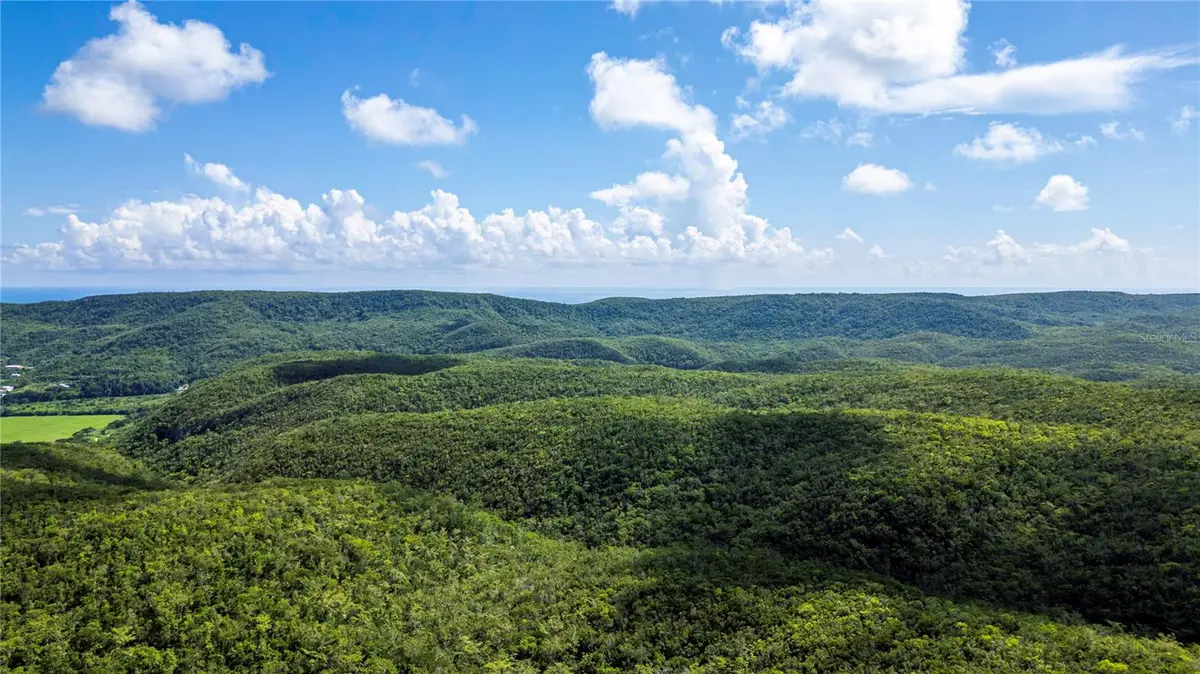 Calle 335 Barinas, Yauco, PR 00698 - #1