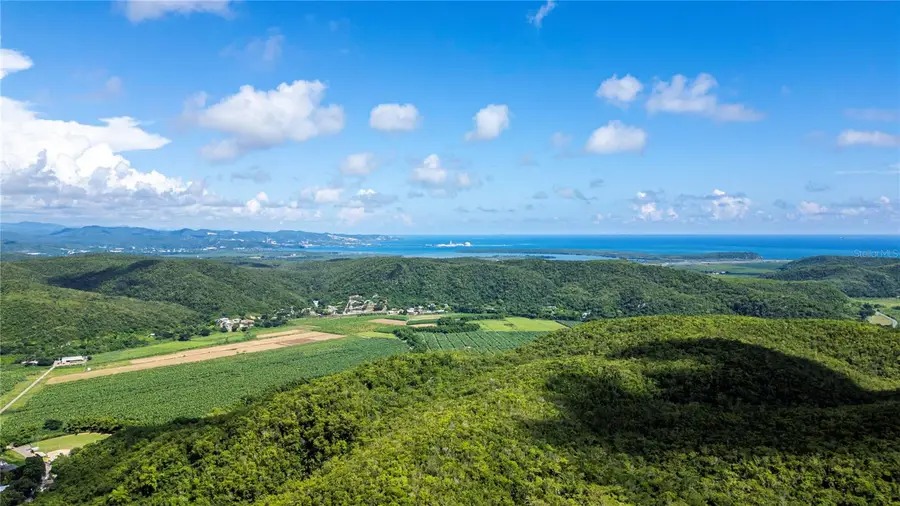 Calle 335 Barinas, Yauco, PR 00698 - #3