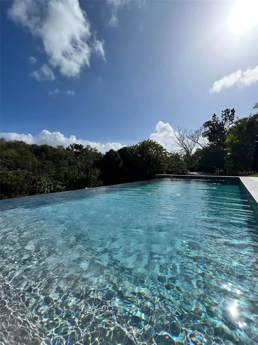 Carr 174 Lote 27a Bo Jagueyes Km Hm 16.4, Aguas Buenas, PR 00703 - Image #3