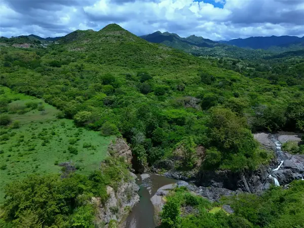 Carr 556 KM. HM 2.2 Pasto, COAMO, PR 00769