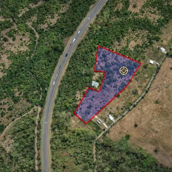 SR 100 Camino Los Martinez, CABO ROJO, PR 00623