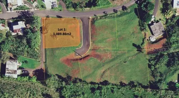 PR-173 KM 6.1 Sumidero Ward #LOT 1, Aguas Buenas, PR 00703 - Image #1