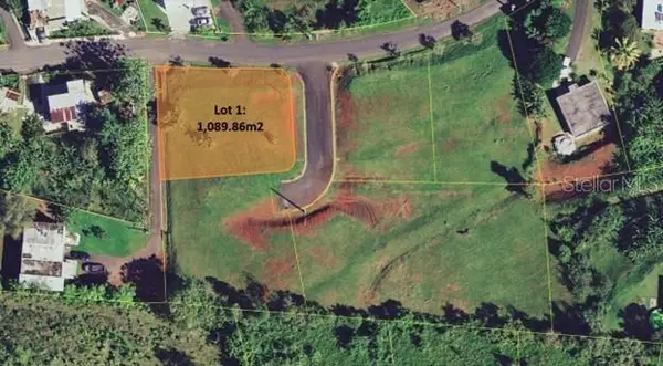 PR-173 KM 6.1 Sumidero Ward #LOT 1, AGUAS BUENAS, PR 00703