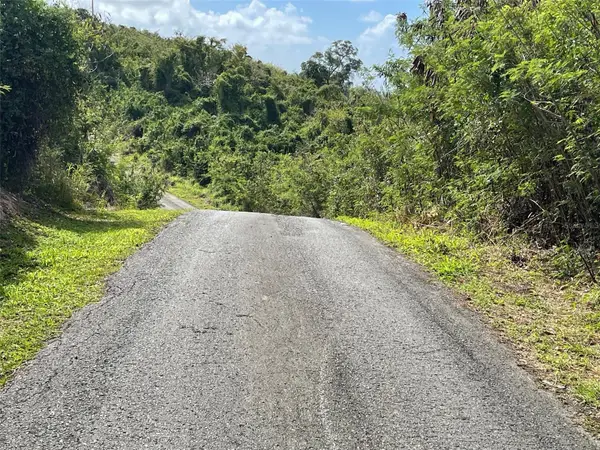 S Lomas De Expreso #44, SANTA ISABEL, PR 00757