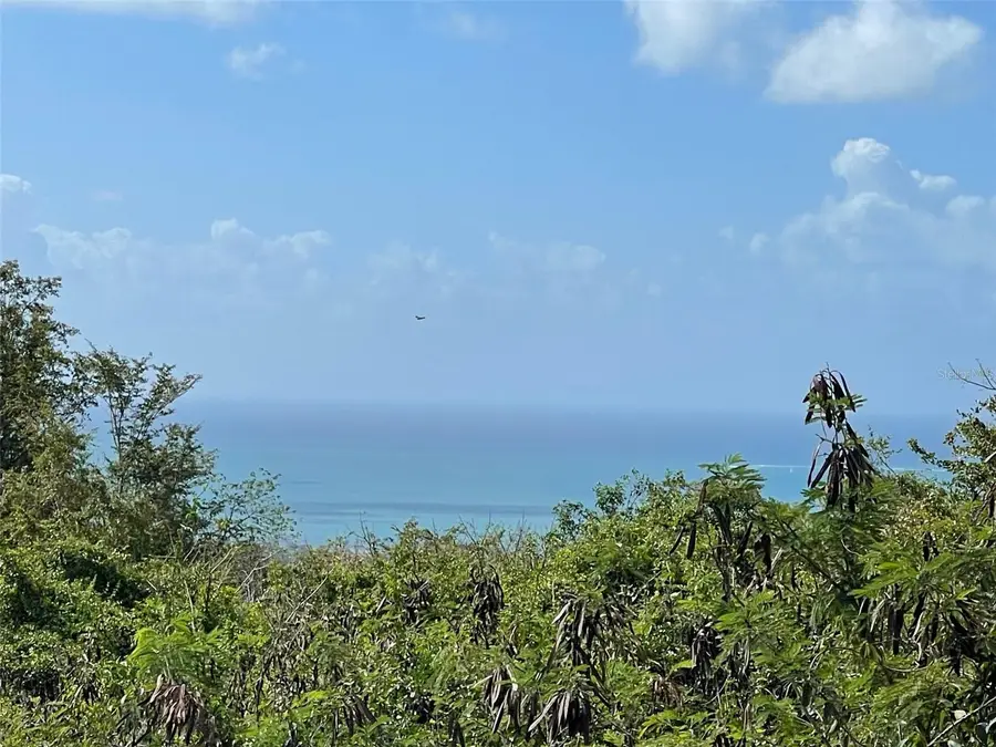 S Lomas De Expreso #44, Santa Isabel, PR 00757 - #2