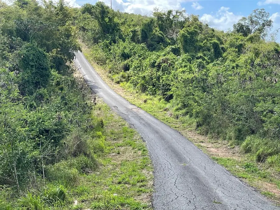 S Lomas De Expreso #44, Santa Isabel, PR 00757 - #3